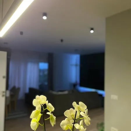 Villa 22 *